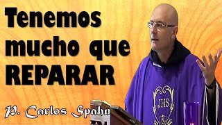 DÍGANME SI ESTO NO ES SATÁNICO  P Carlos Spahn [upl. by Madonia]