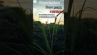 ऊसाची दमदार रोपे पोहोच मिळतील माऊली हायटेक नर्सरी महाराष्ट्र 8605314819 farming पपई ऊसशेती शेती [upl. by Ettennig957]