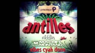 Machel Montano  Vibes Cyah Done Antilles Riddim 2012 [upl. by Leopoldeen920]