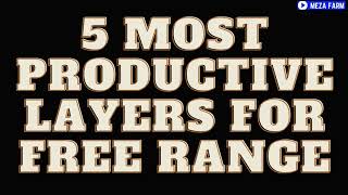 5 Most PROLIFIC LAYERS For Free Range II best layer chicken breeds [upl. by Yecniuq]