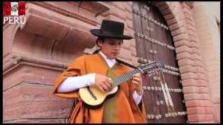 ADIOS PUEBLO DE AYACUCHO Charango Peruano  PUKA [upl. by Connett104]