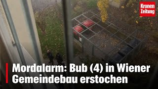 Mordalarm Bub 4 in Wiener Gemeindebau erstochen  kronetv NEWS [upl. by Haberman]