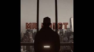 MrRobot  I Was Only Temporary Slowed [upl. by Blasius308]