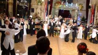 Alles Walzer  Vienna Rathaus Ball Seniors Dance 2014 [upl. by Nodle]