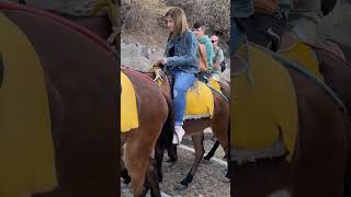 Santorini Donkey Ride travel greekisland [upl. by Gerrilee139]