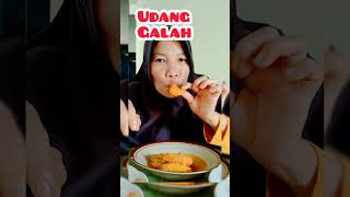 Makan Udang Galah Masak Santan keseharianaurorakhansa shorts mukbang [upl. by Sremlahc]