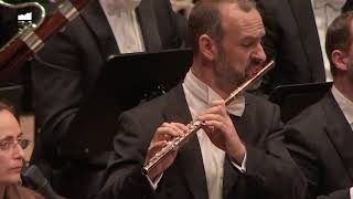 MAHLER  9th Symphony 1st mov  Flute Solo McCall [upl. by Ahseik699]