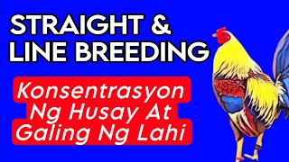 KONSENTRASYON NG HUSAY AT GALING  AKMANG PAGPAPALAHI [upl. by Nevear]