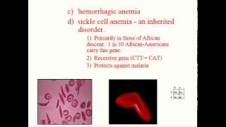 Hematology  Physiology  Part 2 [upl. by Homere333]