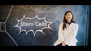 What Are Stem Cells [upl. by Louls829]