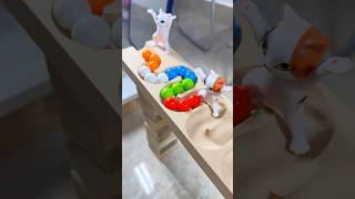 Marble runs with extremely rolling slopes marblerun marblerunrace asmr [upl. by Htebasil]