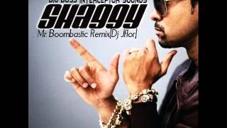 Shaggy  Mr Boombastic RemixDj Jflor ft Dj Jomar [upl. by Landbert972]