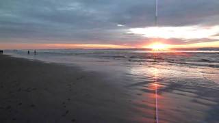 razor clam digging Grayland Beach Washington USA [upl. by Aneahs]