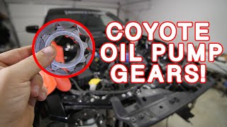 Pt 1  On3 Turbo Mustang Build  Boundary Oil Pump Gears Install aka OPGs [upl. by Anelrats]