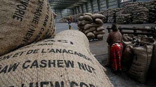 Tanzania buys all cashew nuts after price war with private buyers [upl. by Aisela]