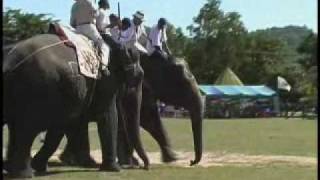 Thailand International Elephant Polo Championship Pooper Scoopers [upl. by Eirahs]