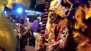 mardi gras indians stjosephs nite [upl. by Tarton92]