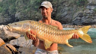 Fishing in Nepal river  record Golden Mahseer 138cm  big fish caught [upl. by Hollah]