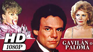 Película  Gavilán o paloma 1985  REMASTERIZADA HD RESUBIDA [upl. by Akenal]