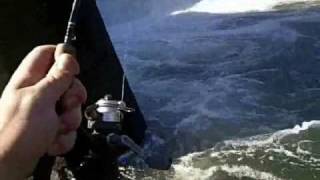 Fishing at Tygart Lake Taylor County West Virginia [upl. by Annavoeg]