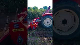 Zari industry farming pakistan ☪️and dha bahawalpur 11bc new Holland tractor 🚜 480 foryou foryou [upl. by Aerdnac]