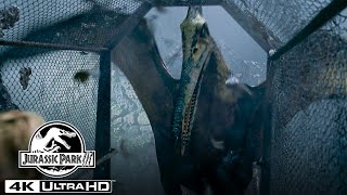 The Pteranodon Aviary Attack in 4K HDR  Jurassic Park III [upl. by Dianuj]