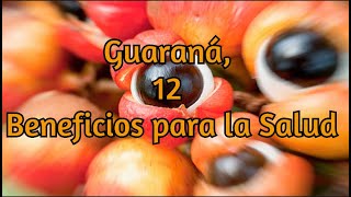 Guaraná 12 Beneficios para la Salud [upl. by Sophie]