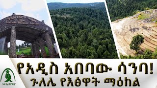 አዲስ አበባ ውስጥ የሚገኝ አስደናቂ ስፍራ ተፈጥሮ ለአዲስ አበባ አዳልታለች የሚያሰኝ ውብ ቦታ ጉዞ ኢትዮጵያGuzo Ethiopia‪NBCETHIOPIA‬ [upl. by Wrdna]