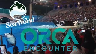 Seaworld Killer Whale Orca Encounter Full Show amp Review Orlando Florida 2024 [upl. by Blumenfeld871]