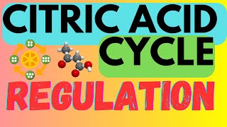 Biochemistry Help Regulation of the Citric Acid Cycle  Krebs Cycle  TCA Cycle [upl. by Zicarelli]