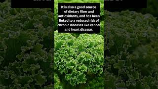 Kale Superfood The Amazing Health Benefits Of Kale [upl. by Noed]