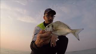 pesca alle orate dal pontile a jesolo lido [upl. by Nytsirt]