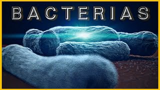 ¿Qué es una bacteria [upl. by Airrej]