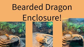 Bearded Dragon Enclosure [upl. by Argus]