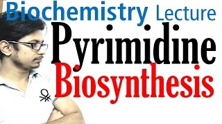 Pyrimidine biosynthesis [upl. by Stefano]