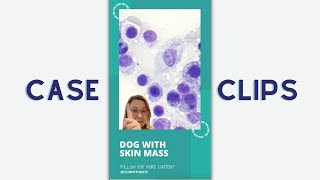 Cytology Case Clips Dog with Tricky Skin Mass [upl. by Gabel619]