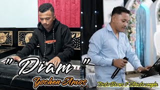 DIAM  YOCHEN AMOS  COVER ARISTO CENGKA [upl. by Aspia836]