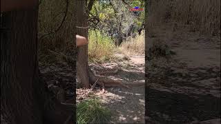 Verde River at Thousand Trails Verde Valley [upl. by Demott]