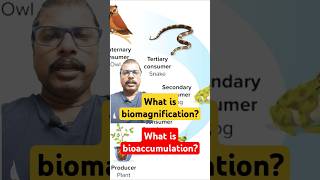 Biomagnification bioaccumulation biology environment [upl. by Melisa]