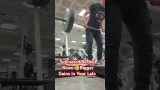 Supinated Barbell Rows For Bigger Lats [upl. by Iznyl]