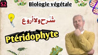 Biologie végétale en Arabe les Ptéridophytes en Arabe SVI S2 [upl. by Ydarb]