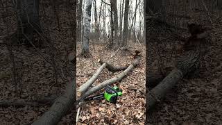 Greenworks 40 V Chainsaw 16” Bar Quick Review amp Demo [upl. by Eivad833]