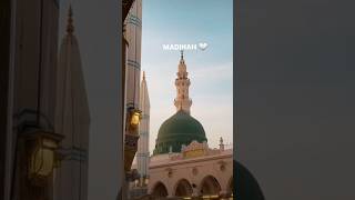 Madinah🤍🫀 madinaview trendingshorts madinahjourney [upl. by Wallinga623]