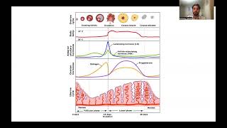 MCAT Biology The Menstrual Cycle [upl. by Ahsennek]