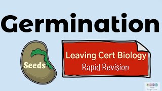 Germination Biology Bugbears Rapid RevisionLeaving Cert Biology 2025 Plant Reproduction [upl. by Weig]