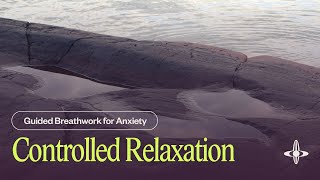 Controlled Relaxation  Guided Breathwork 10 minutes [upl. by Pass]