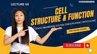 ENDO MEMBRANE SYSTEM ENDOPLASMIC RETICULUM  neet biology cell intermediate pw [upl. by Narak381]