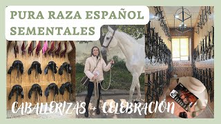 CABALLOS sementales PRE CABALLERIZAS REALES de CÓRDOBA Celebración Revista HÍPICA👩🏼‍💻🐴🌿Laura Raya [upl. by Malvie197]