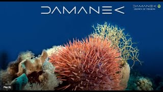 Damanek  CROWN OF THORNS SEA SONGS Pt 2 from quotMaking Shorequot [upl. by Idisahc]