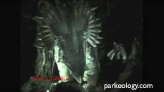 Disneys Dinosaur ride the BEST ride through in full night vision [upl. by Iretak]